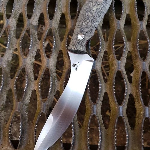 Stainthorp Knives Evo model in DuraTech 20CV
